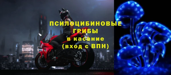 стаф Семёнов
