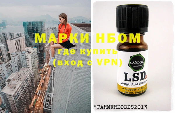 шишки Алексин