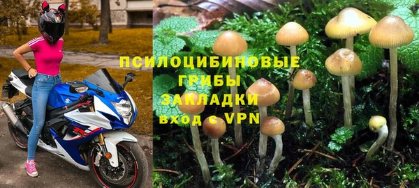 а пвп мука Алзамай