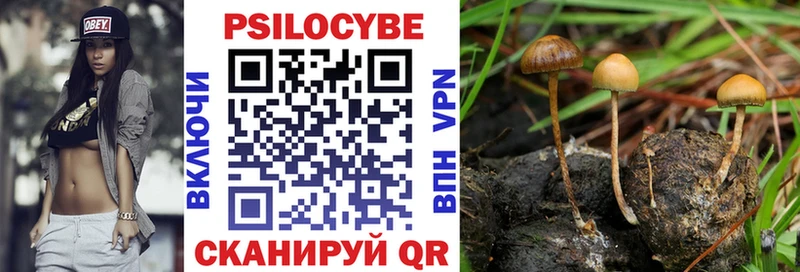 Псилоцибиновые грибы GOLDEN TEACHER  Бирюч 